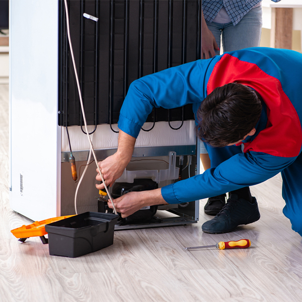 will the repair service cause any damage to my refrigerator in Terminous CA